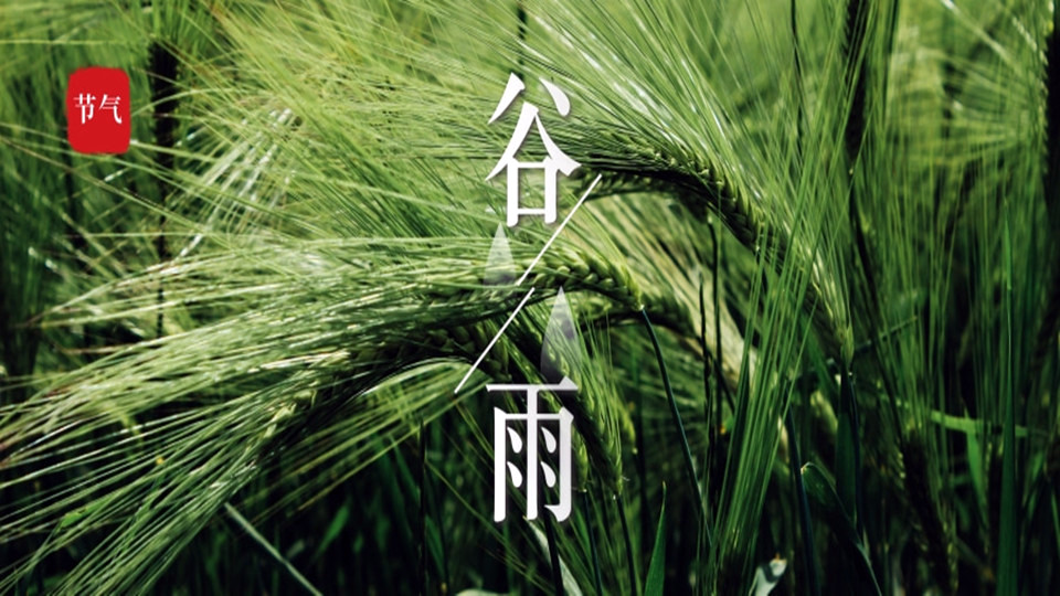 谷雨（传统二十四节气）