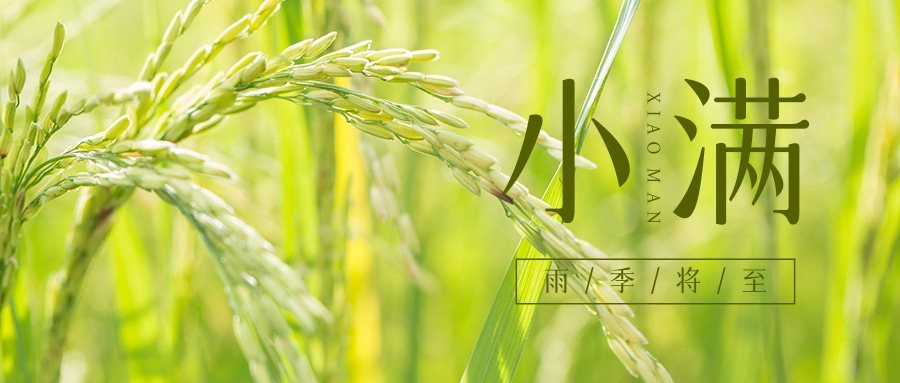 小满（传统二十四节气）